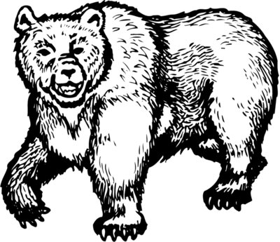 BEAR015