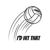 Volleyball 13