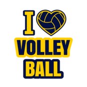 Volleyball 26