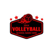 Volleyball 30