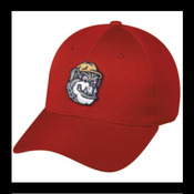Mahoning Valley Scrappers