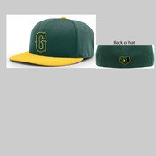 Player Hat 2025 PTS20 PULSE R-FLEX