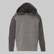 Toddler Special Blend Hooded Raglan Sweatshirt